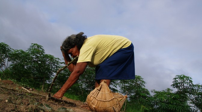 Nieuwsbrief I – Xavante