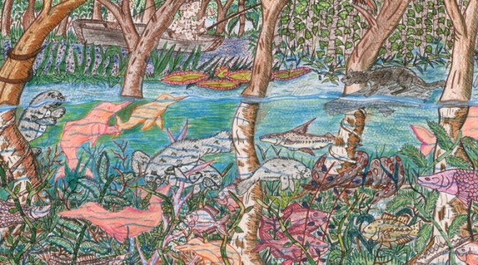 Opgelet! Onze laatste woorden