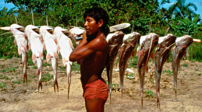 Modelo de Educación Propia – DEEL I