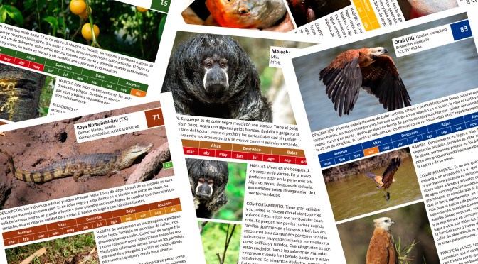 Conociendo mi territorio – in de maak