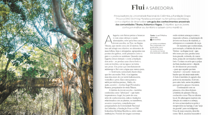 In het tijdschrift van Avianca